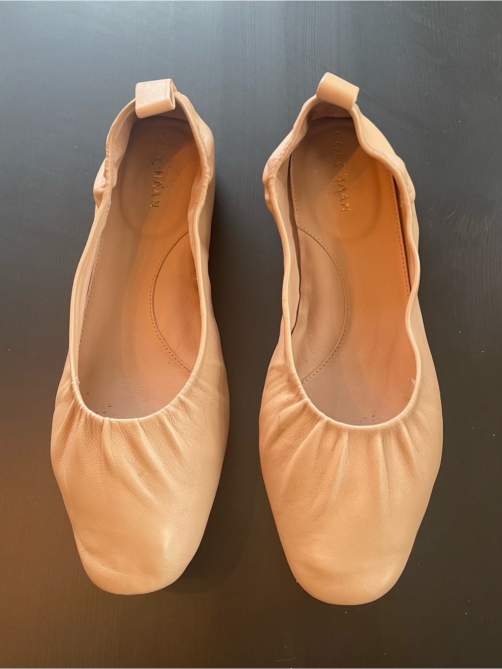 Cole Haan Blush Leather Ballet Flats